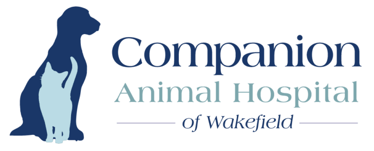 Veterinarian in Raleigh, NC | Companion Animal Hospital of Wakefield