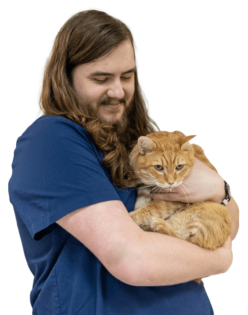 Technician Holding Cat