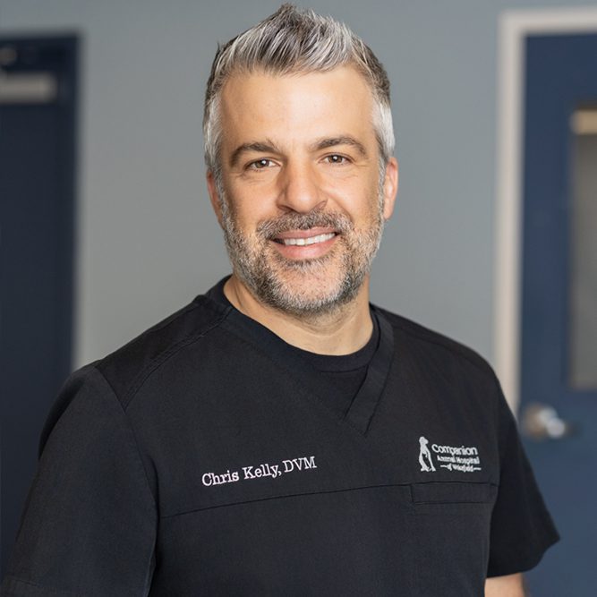 Dr Chris Kelly