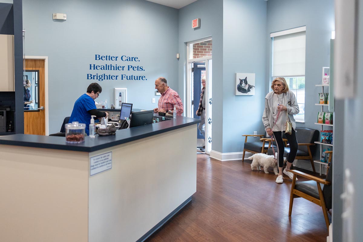 Pet Care Information in Raleigh, NC Companion Animal Hospital