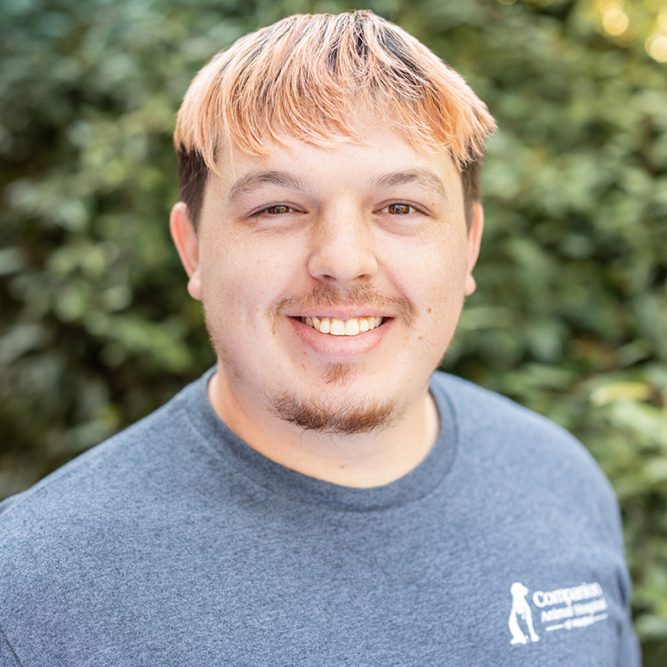 Daniel
