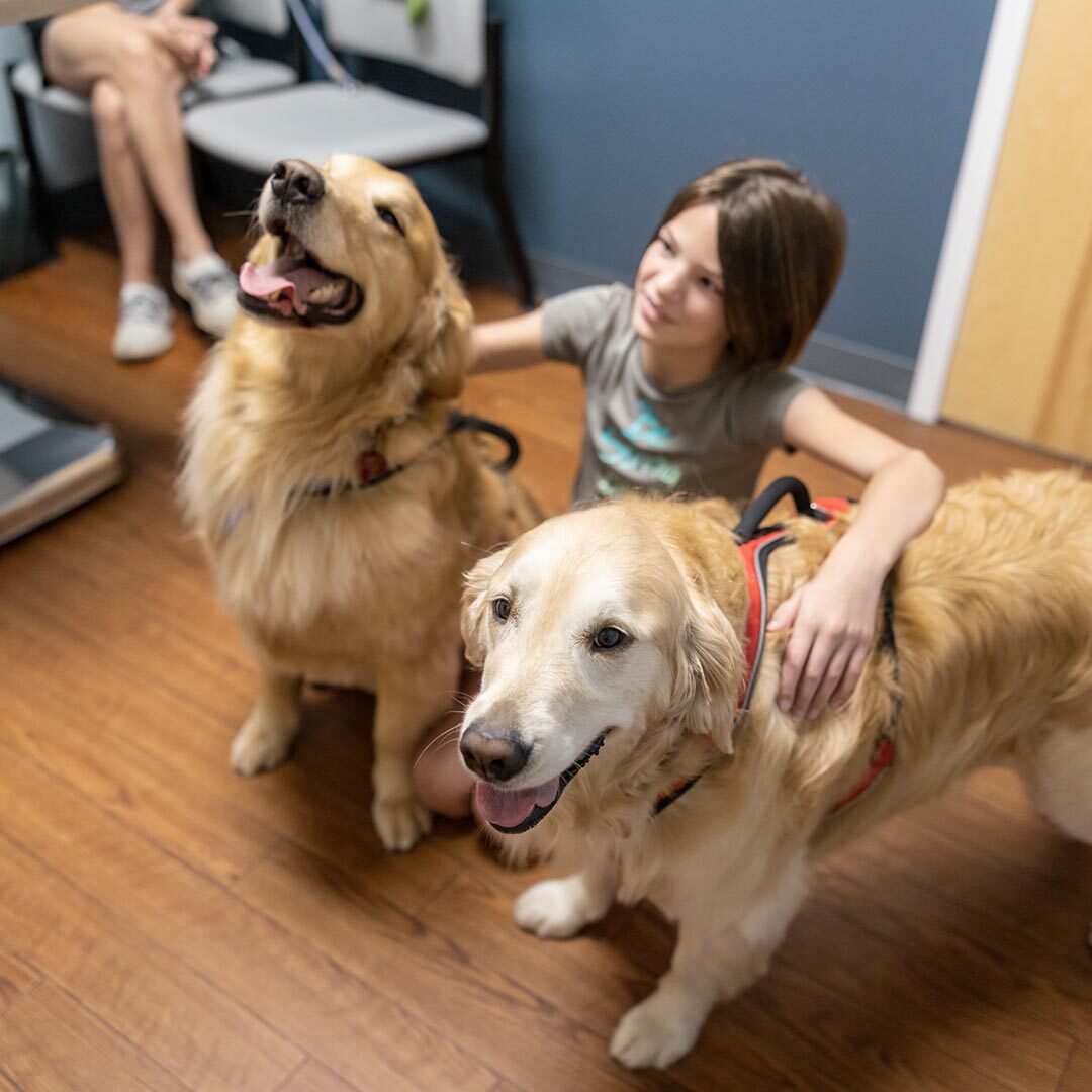 Pet Microchipping In Raleigh, NC